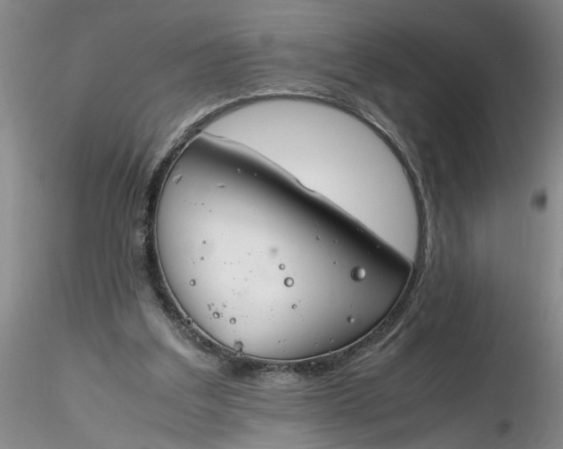 X0000116260203200912211743
