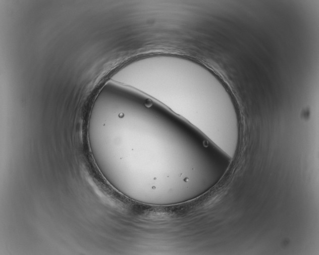 X0000116260205200912211743