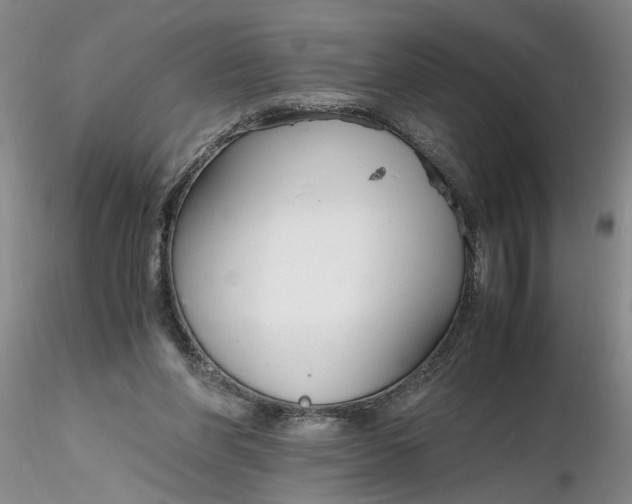 X0000116260206200912211743