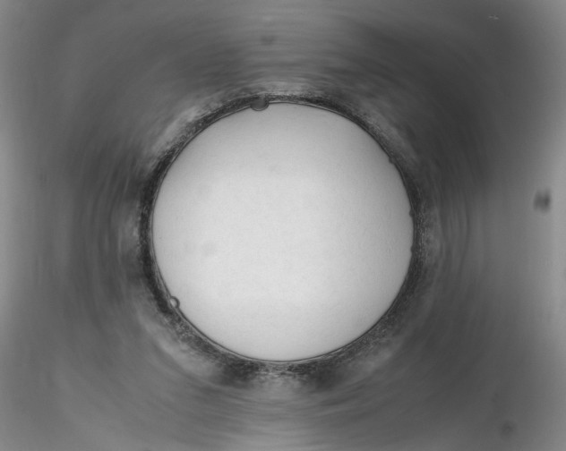 X0000116260207200912211743
