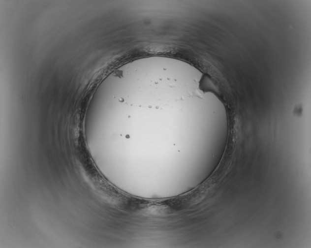 X0000116260210200912211743