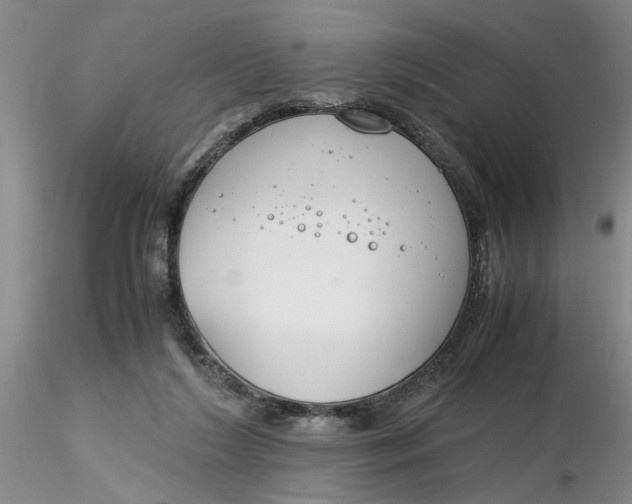 X0000116260212200912211743