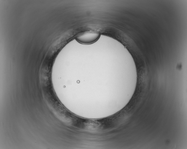 X0000116260215200912211743