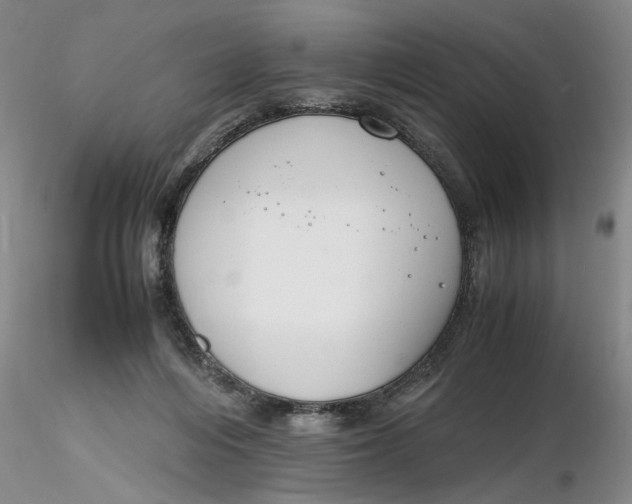 X0000116260216200912211743