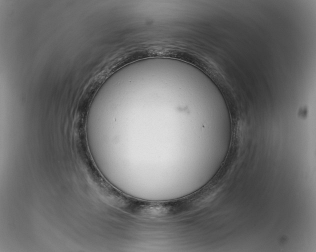 X0000116260217200912211743