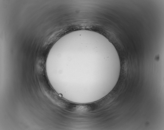 X0000116260218200912211743