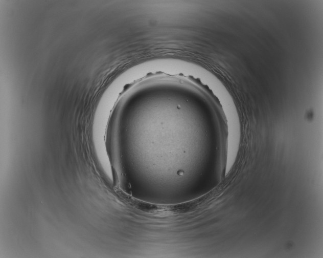 X0000116260219200912211743