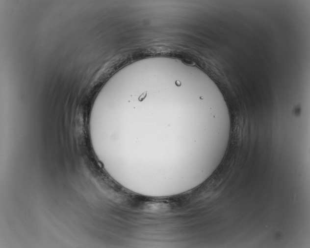 X0000116260220200912211743