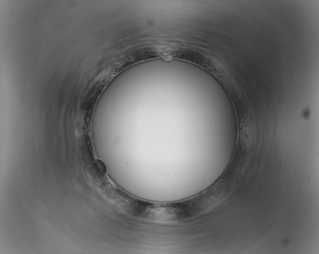 X0000116260221200912211743