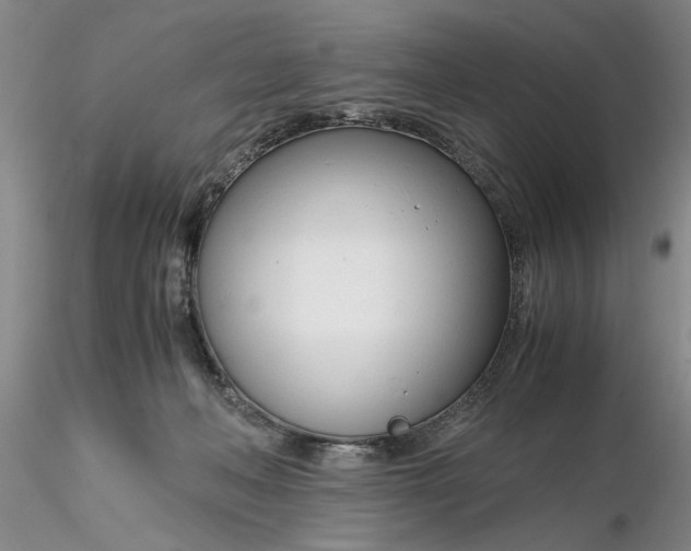 X0000116260222200912211743