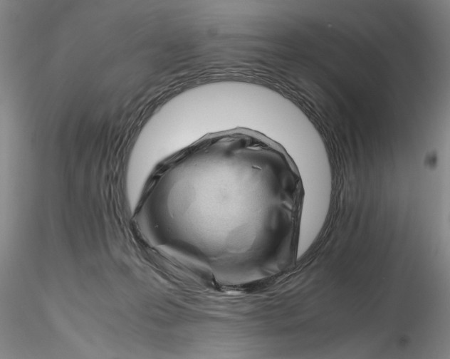 X0000116260223200912211743