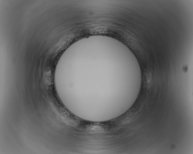 X0000116260224200912211743