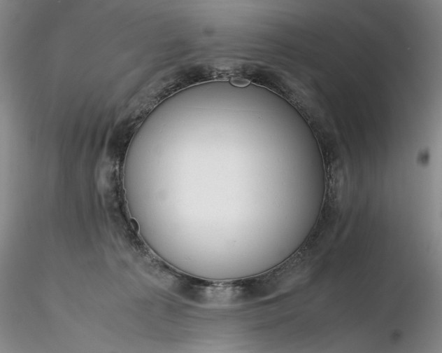 X0000116260225200912211743