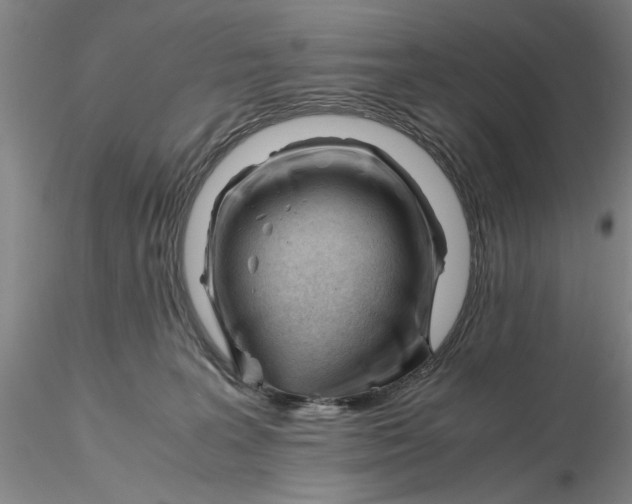 X0000116260227200912211743