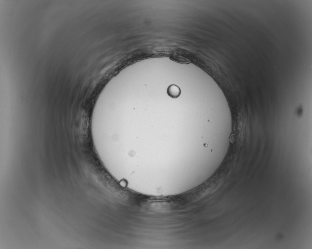 X0000116260228200912211743