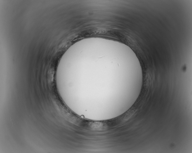 X0000116260230200912211743