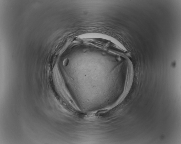 X0000116260231200912211743
