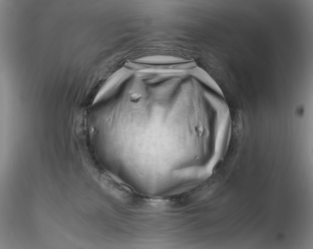 X0000116260233200912211743