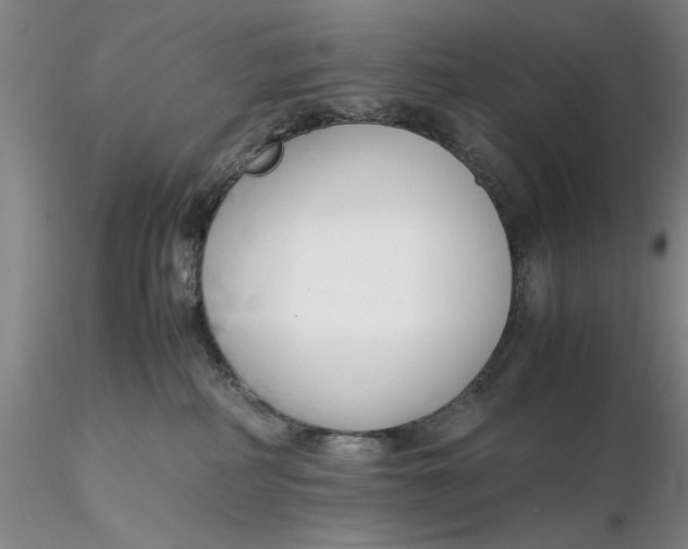 X0000116260234200912211743