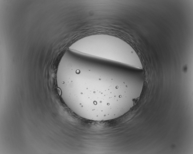 X0000116260235200912211743