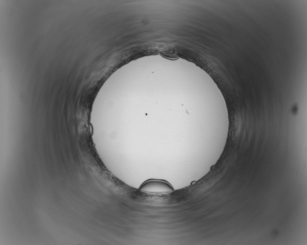 X0000116260236200912211743
