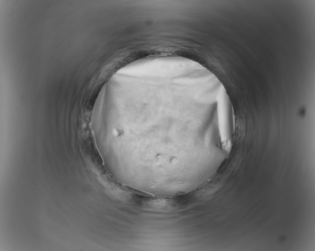 X0000116260237200912211743
