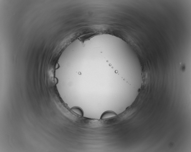 X0000116260238200912211743