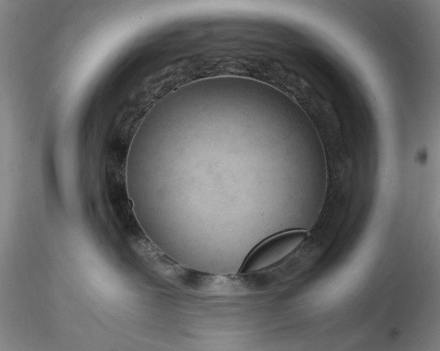 X0000116260239200912211743