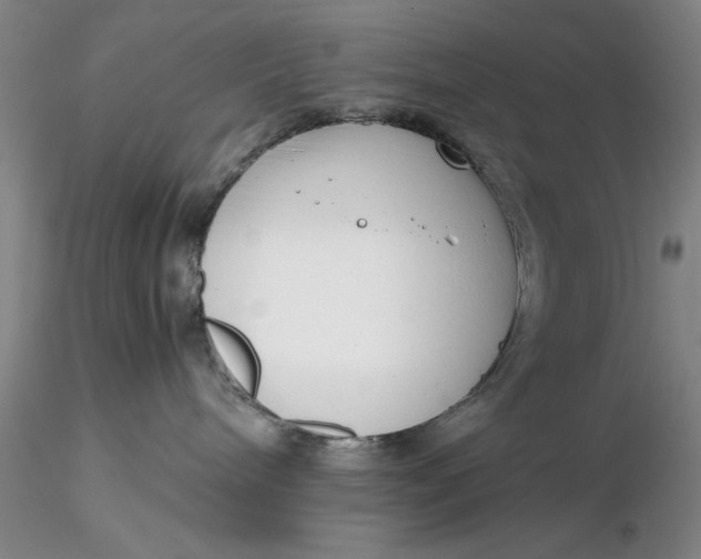 X0000116260240200912211743