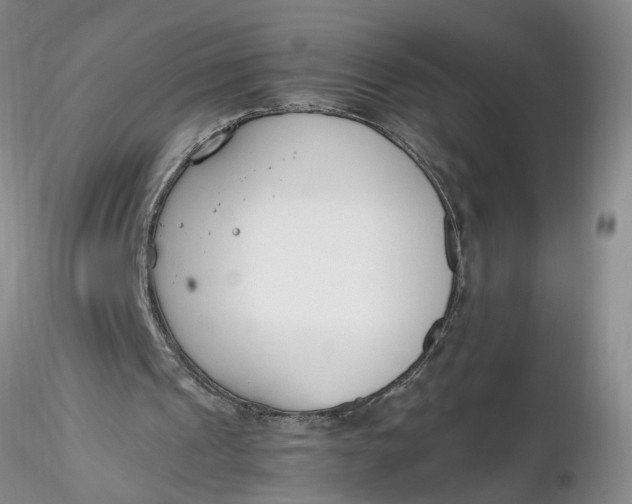X0000116260241200912211742