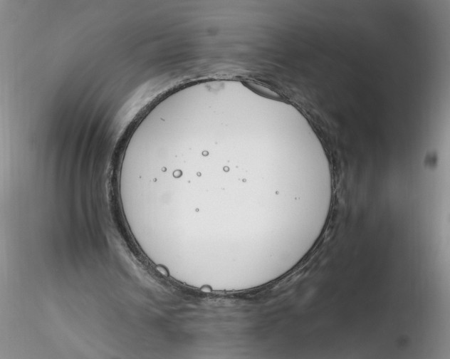 X0000116260242200912211742