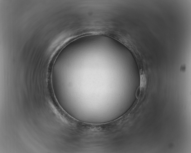X0000116260243200912211742