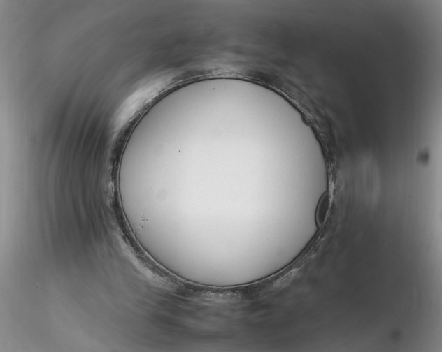 X0000116260245200912211742