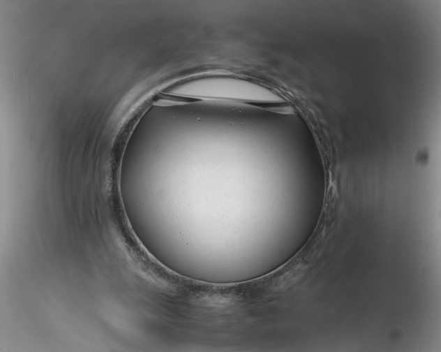 X0000116260247200912211742