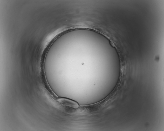 X0000116260248200912211742