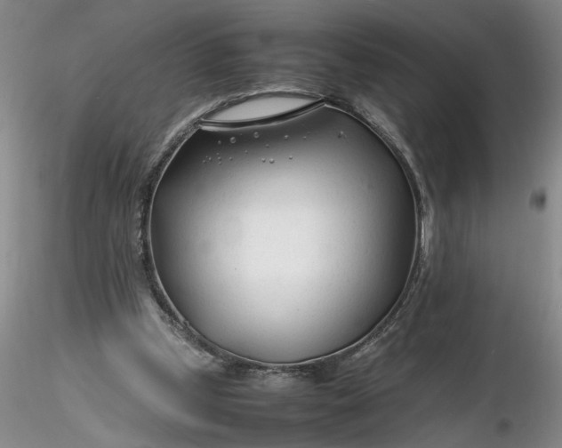 X0000116260249200912211742