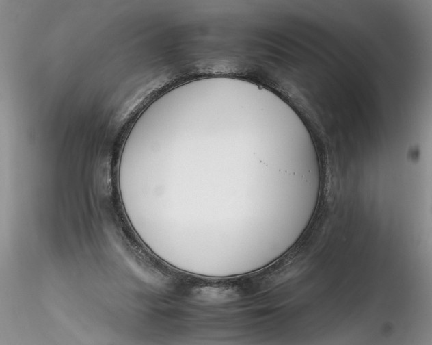 X0000116260251200912211742