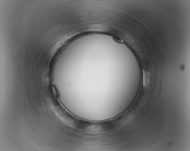 X0000116260252200912211742
