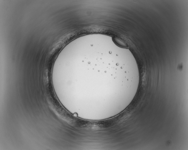 X0000116260254200912211742
