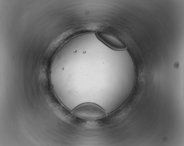 X0000116260256200912211742