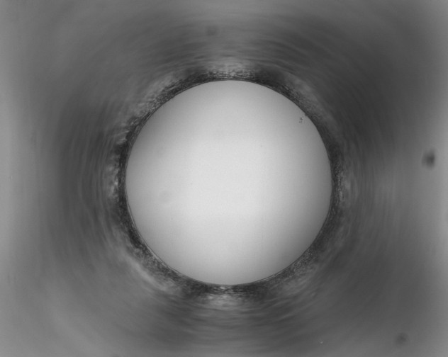 X0000116260259200912211742