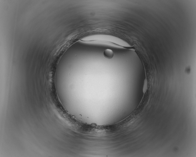 X0000116260260200912211742