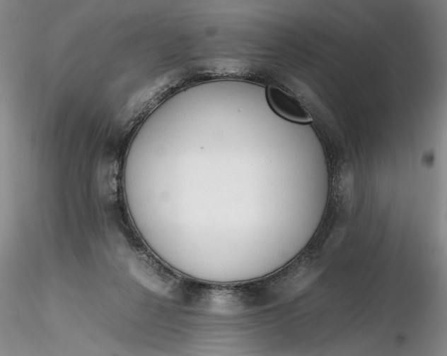 X0000116260264200912211742