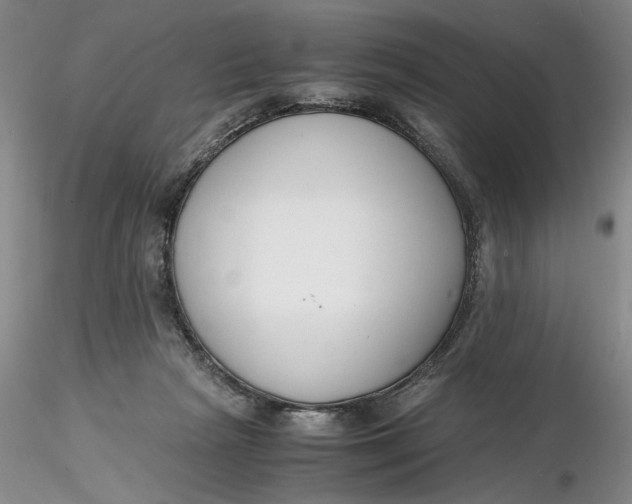 X0000116260265200912211742
