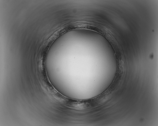 X0000116260267200912211742
