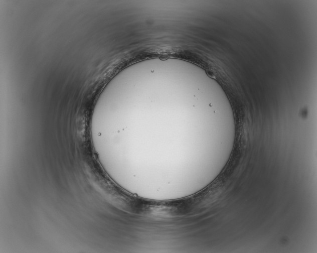 X0000116260268200912211742