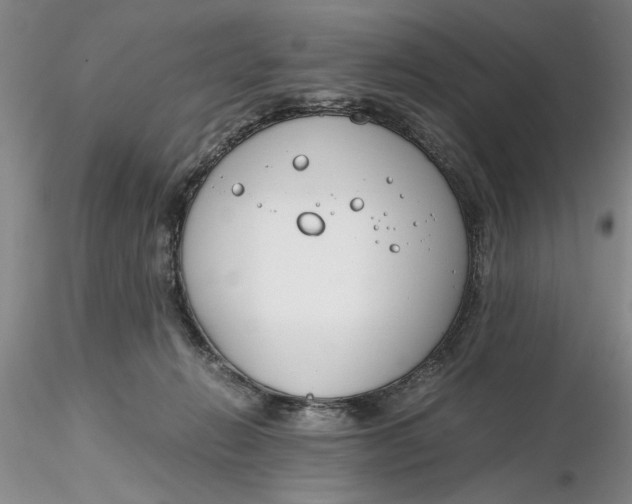 X0000116260270200912211742