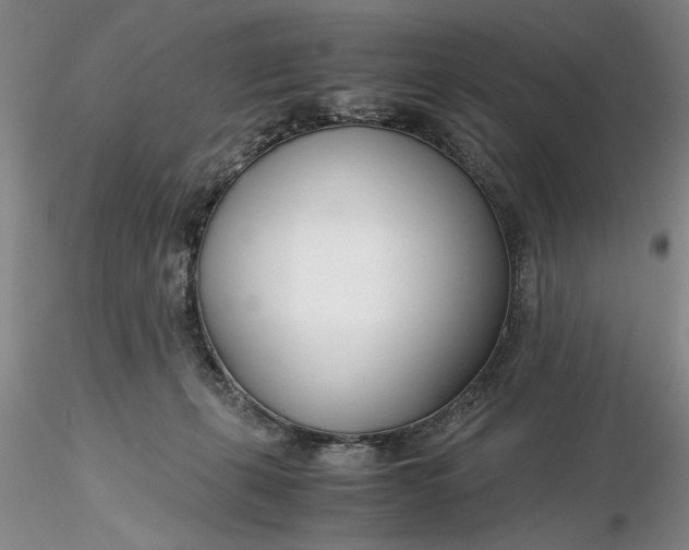 X0000116260271200912211743