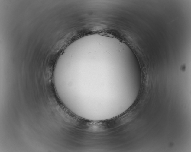 X0000116260273200912211743
