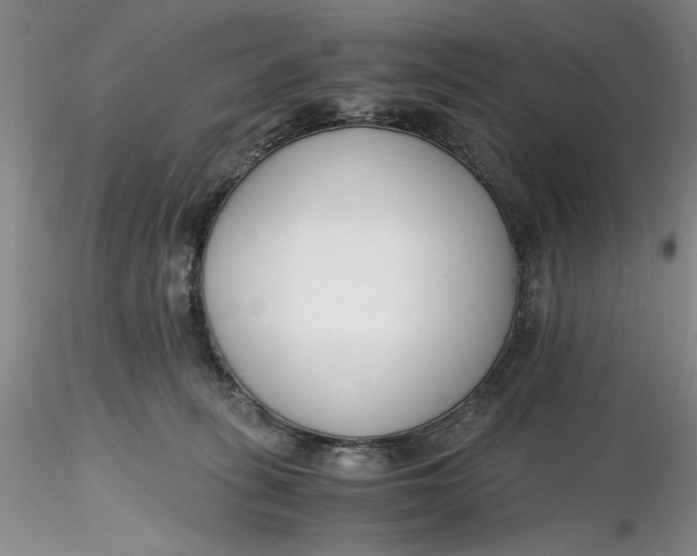 X0000116260275200912211743